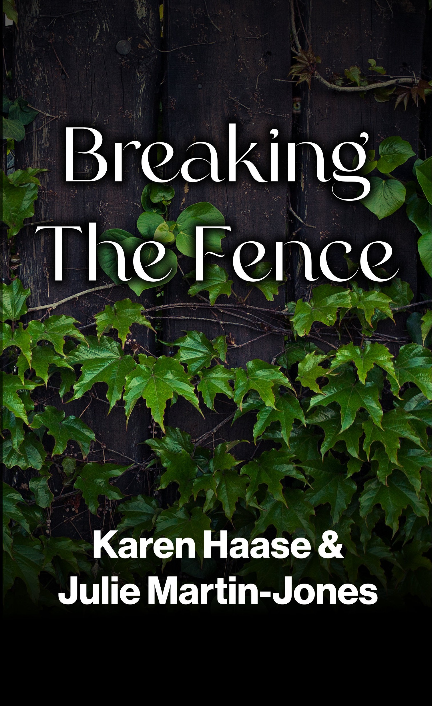 Breaking The Fence - OFC